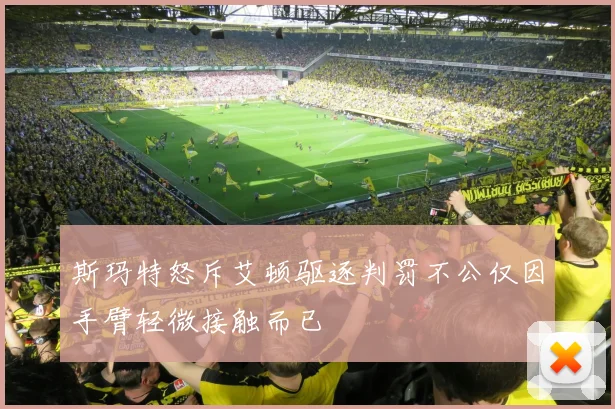 斯玛特怒斥艾顿驱逐判罚不公仅因手臂轻微接触而已