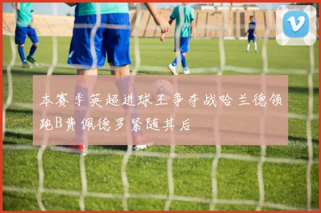 本赛季英超进球王争夺战哈兰德领跑B费佩德罗紧随其后