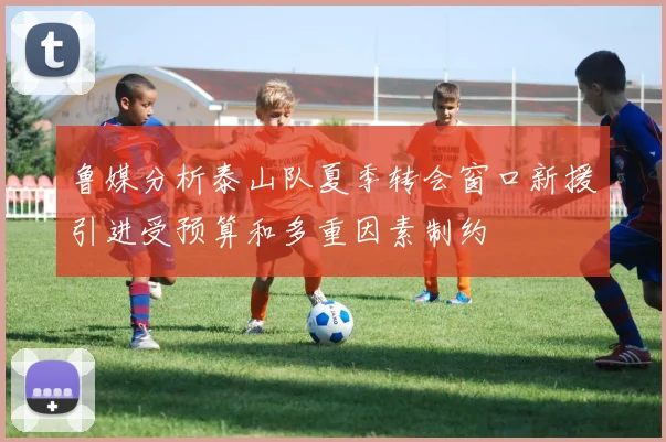 鲁媒分析泰山队夏季转会窗口新援引进受预算和多重因素制约